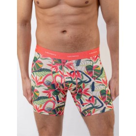 TROPICAL boxer microfibre