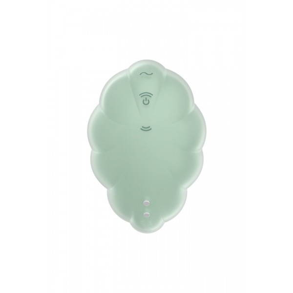 Stimulateur clitoridien par onde de pression sans contact et par vibration USB vert menthe- Satisfyer
